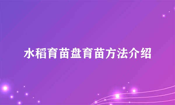 水稻育苗盘育苗方法介绍