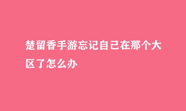 楚留香手游忘记自己在那个大区了怎么办