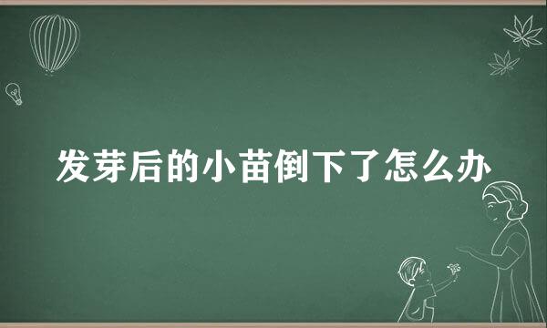 发芽后的小苗倒下了怎么办