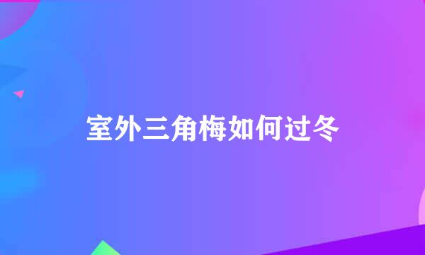 室外三角梅如何过冬