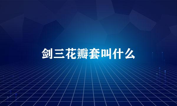 剑三花瓣套叫什么