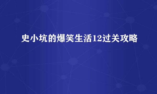 史小坑的爆笑生活12过关攻略