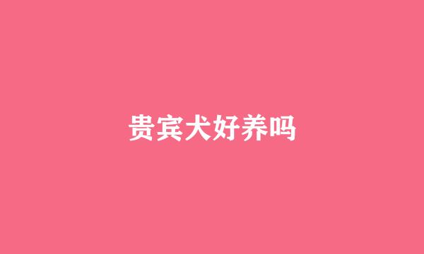 贵宾犬好养吗