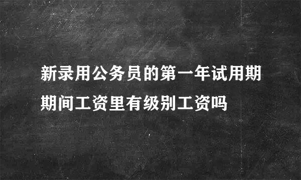新录用公务员的第一年试用期期间工资里有级别工资吗