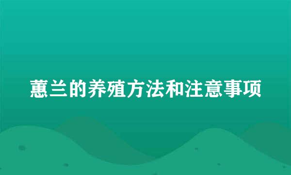 蕙兰的养殖方法和注意事项