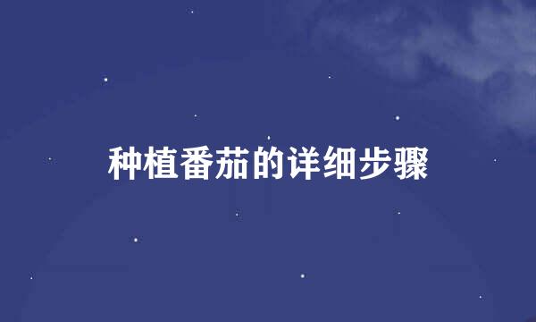 种植番茄的详细步骤