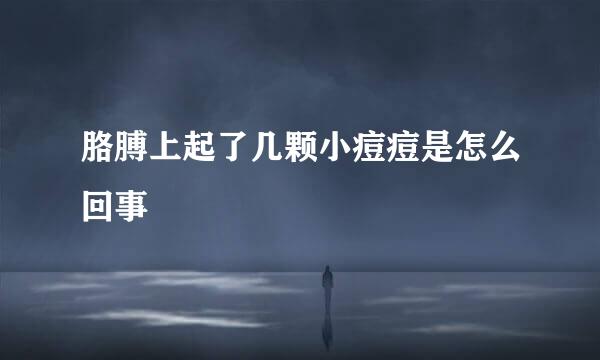胳膊上起了几颗小痘痘是怎么回事