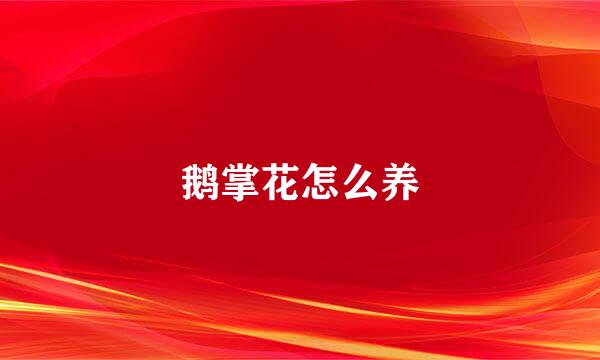 鹅掌花怎么养