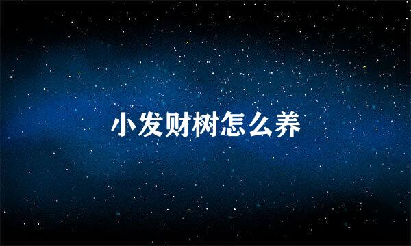 小发财树怎么养