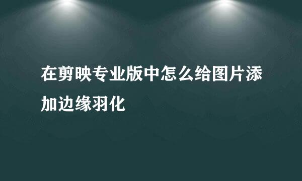 在剪映专业版中怎么给图片添加边缘羽化