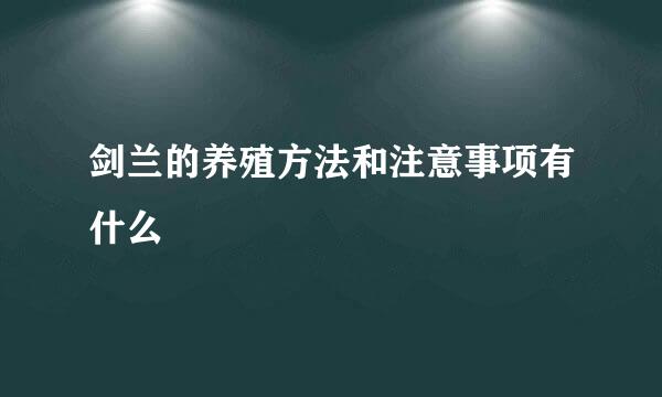 剑兰的养殖方法和注意事项有什么
