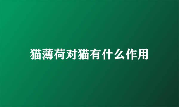 猫薄荷对猫有什么作用
