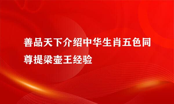 善品天下介绍中华生肖五色同尊提梁壶王经验