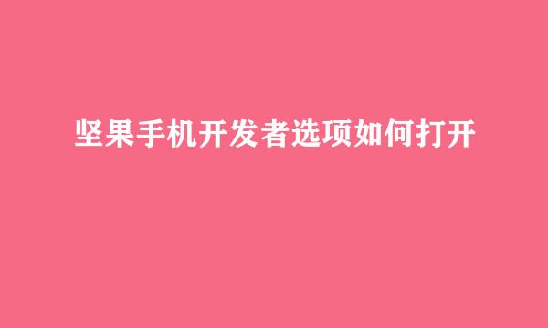 坚果手机开发者选项如何打开