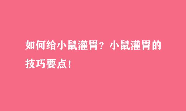 如何给小鼠灌胃？小鼠灌胃的技巧要点！