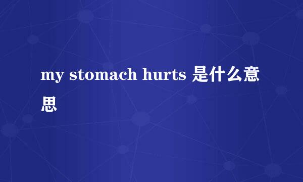 my stomach hurts 是什么意思