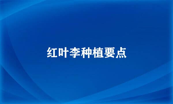 红叶李种植要点
