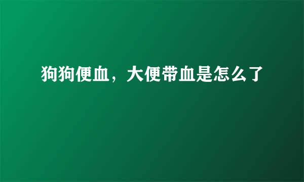 狗狗便血，大便带血是怎么了