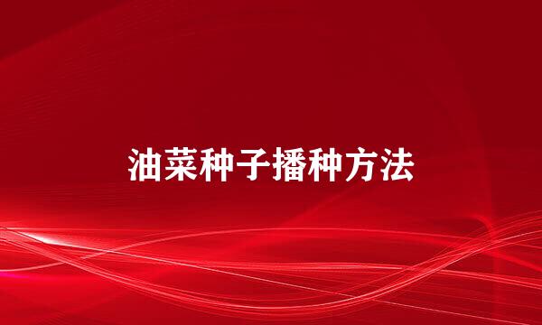 油菜种子播种方法
