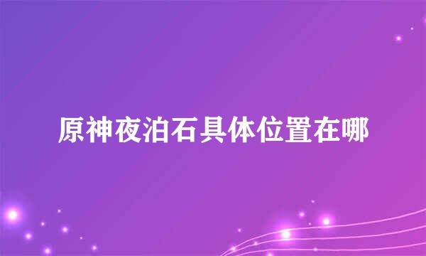 原神夜泊石具体位置在哪