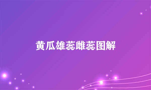 黄瓜雄蕊雌蕊图解