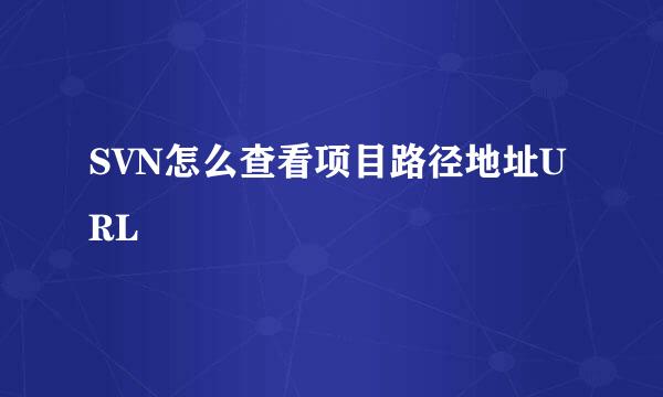 SVN怎么查看项目路径地址URL
