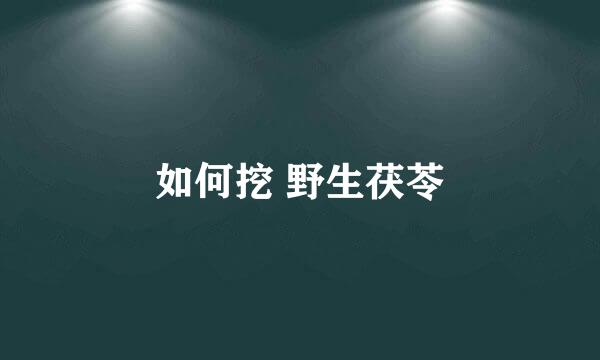 如何挖 野生茯苓