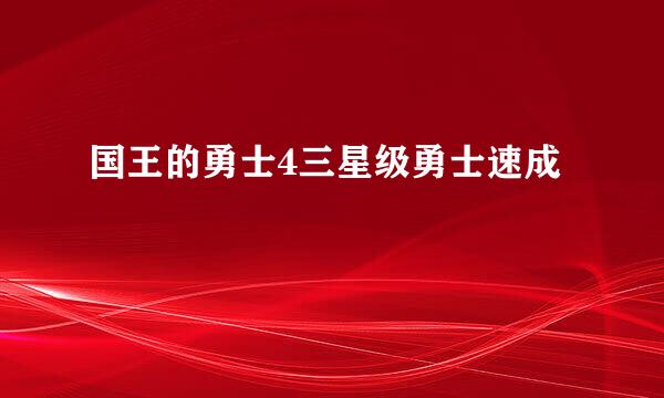 国王的勇士4三星级勇士速成