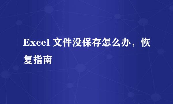 Excel 文件没保存怎么办,恢复指南