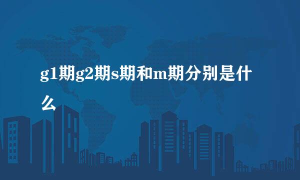g1期g2期s期和m期分别是什么
