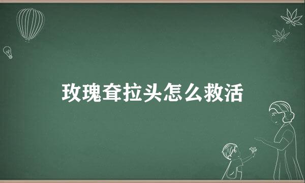 玫瑰耷拉头怎么救活