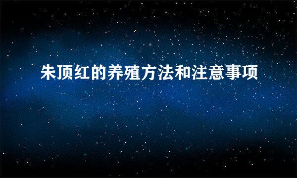 朱顶红的养殖方法和注意事项