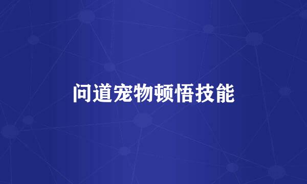问道宠物顿悟技能