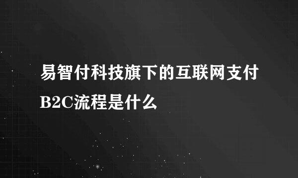 易智付科技旗下的互联网支付B2C流程是什么