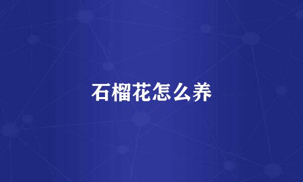 石榴花怎么养