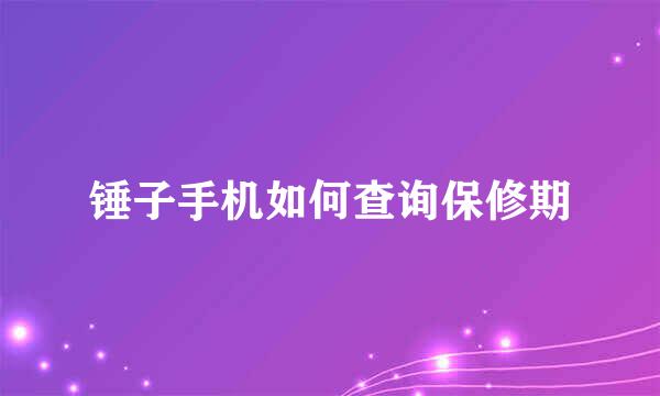 锤子手机如何查询保修期