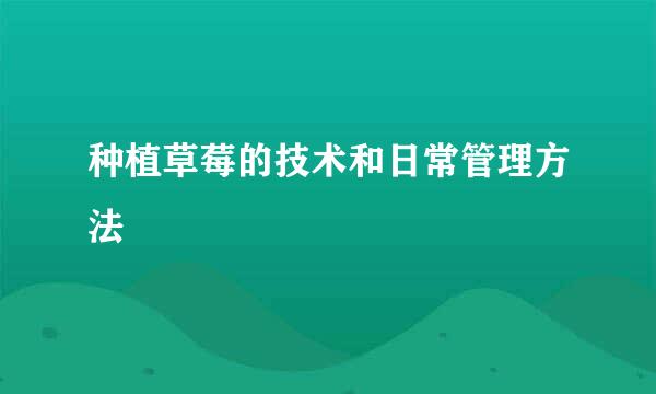 种植草莓的技术和日常管理方法