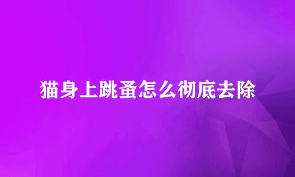 猫身上跳蚤怎么彻底去除