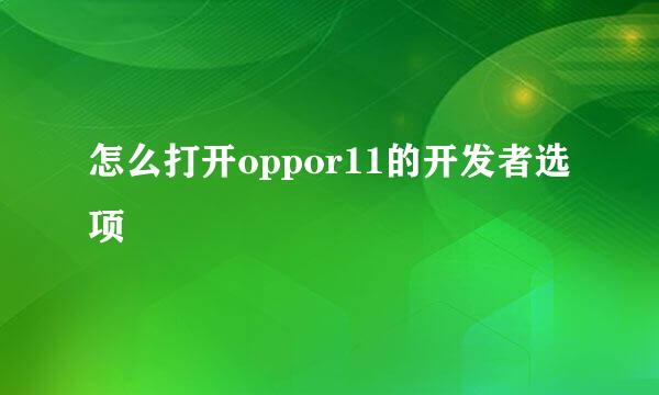 怎么打开oppor11的开发者选项