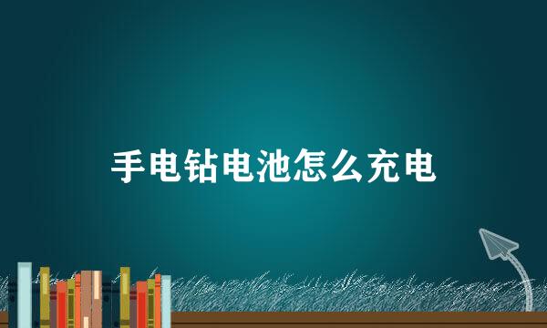 手电钻电池怎么充电