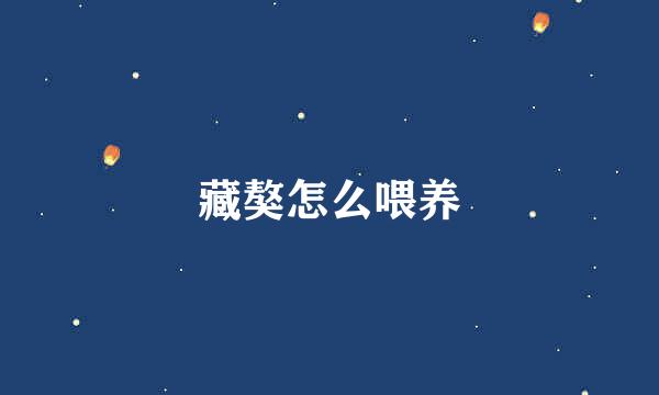 藏獒怎么喂养