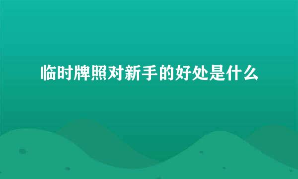 临时牌照对新手的好处是什么