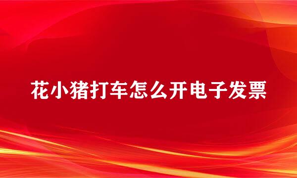 花小猪打车怎么开电子发票