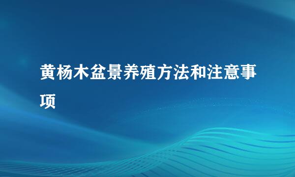 黄杨木盆景养殖方法和注意事项