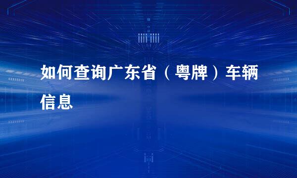 如何查询广东省（粤牌）车辆信息