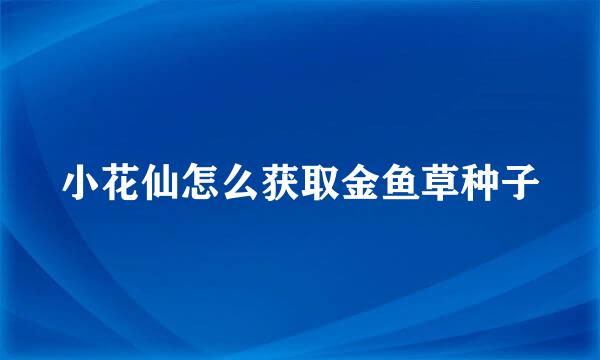 小花仙怎么获取金鱼草种子