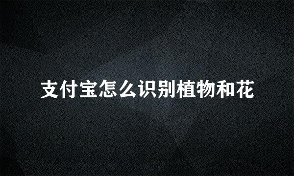 支付宝怎么识别植物和花