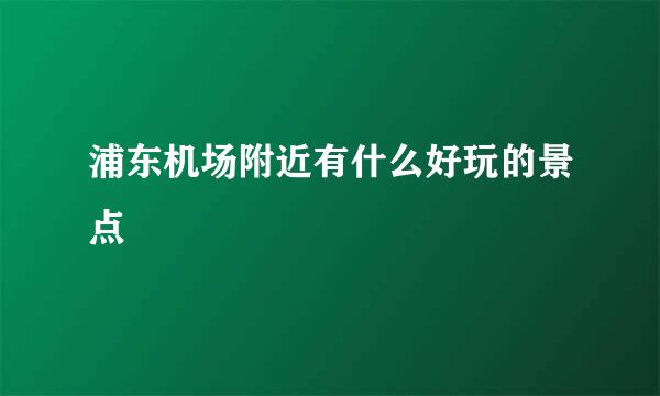浦东机场附近有什么好玩的景点