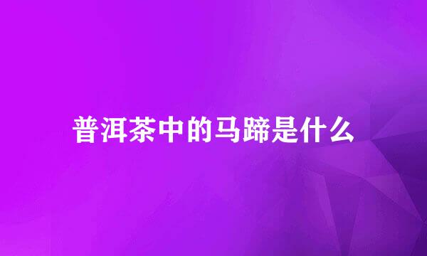 普洱茶中的马蹄是什么