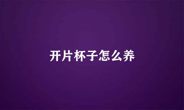 开片杯子怎么养